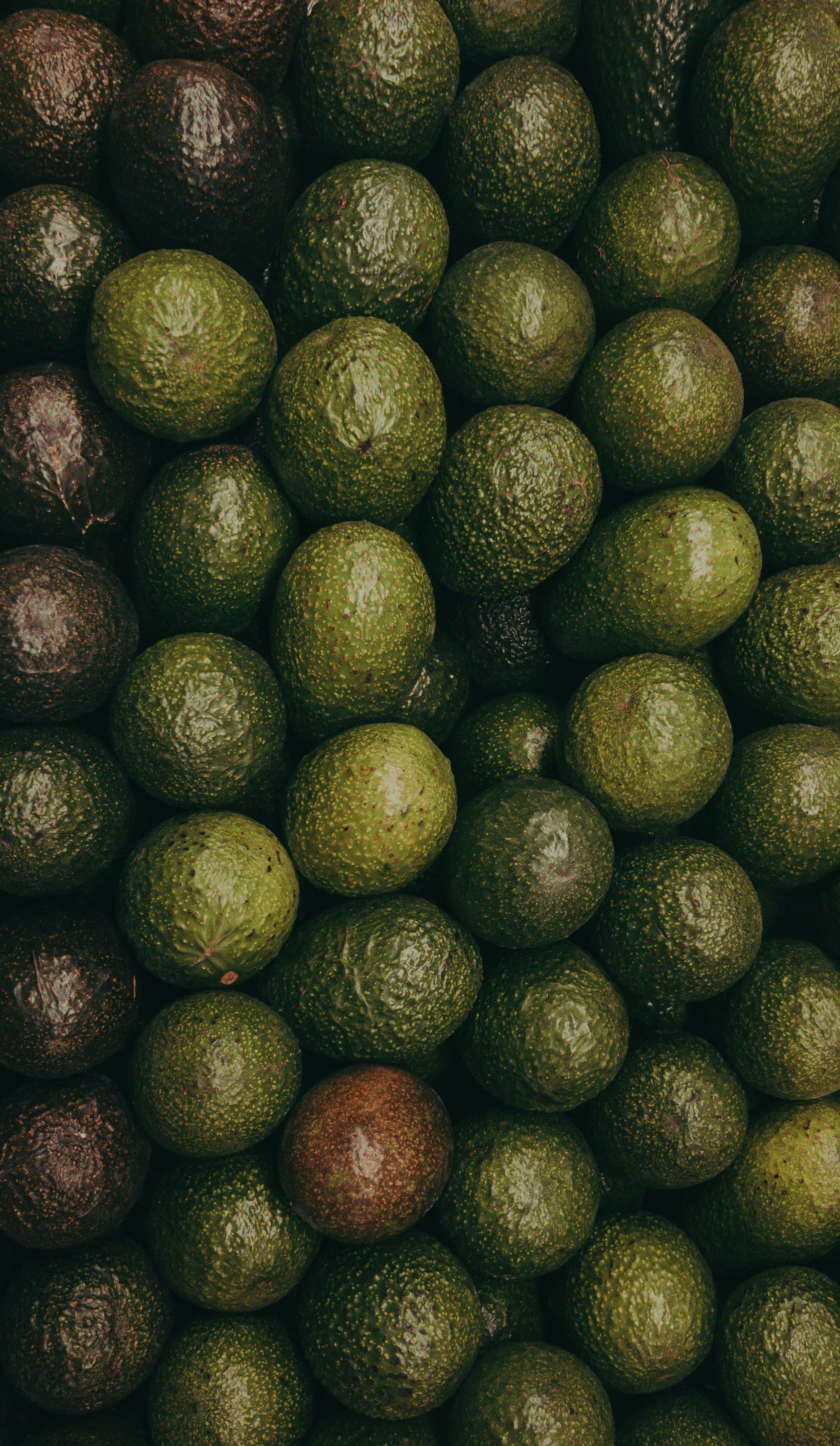 Hass Avocados
