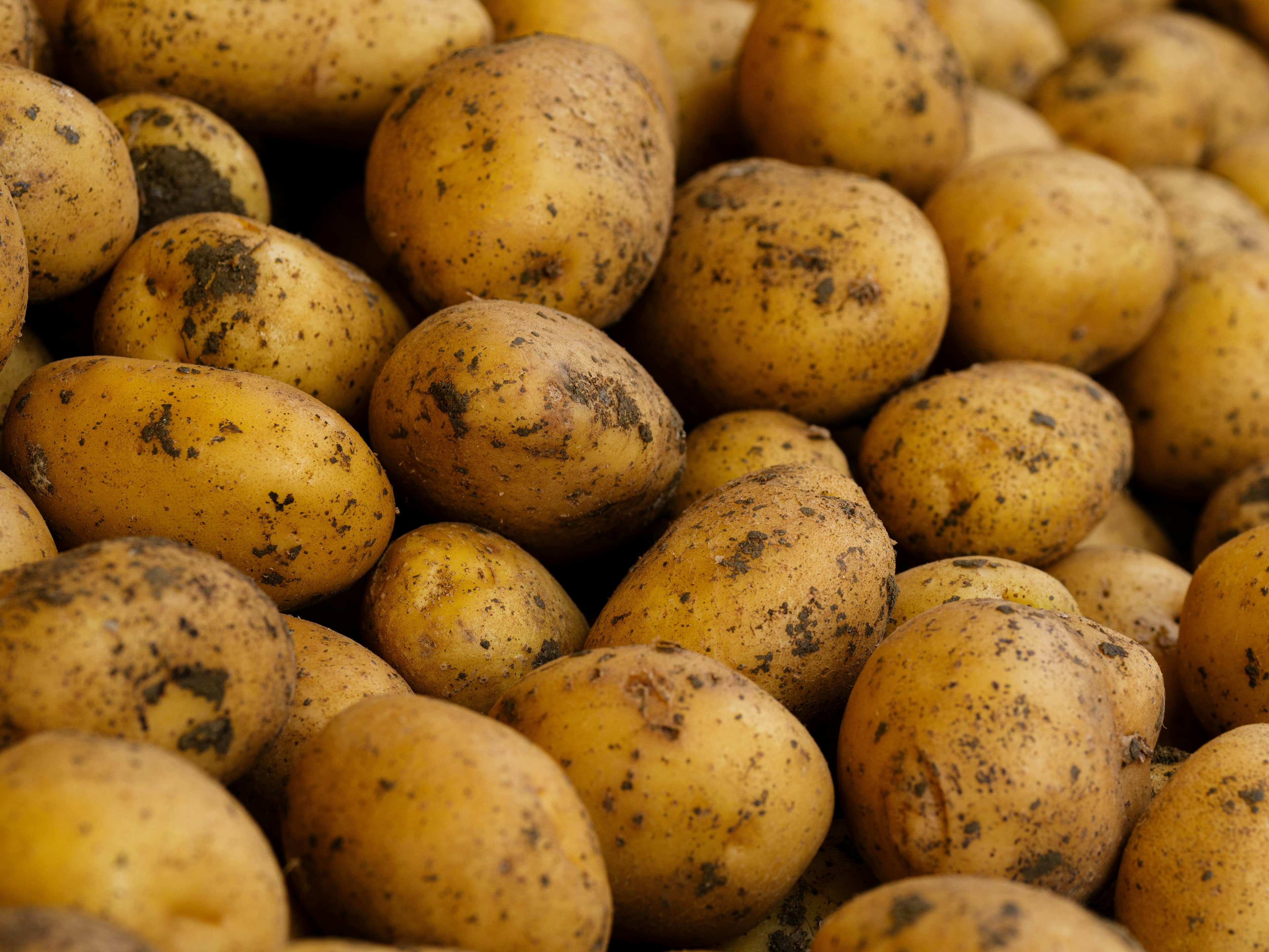 Golden Potatoes